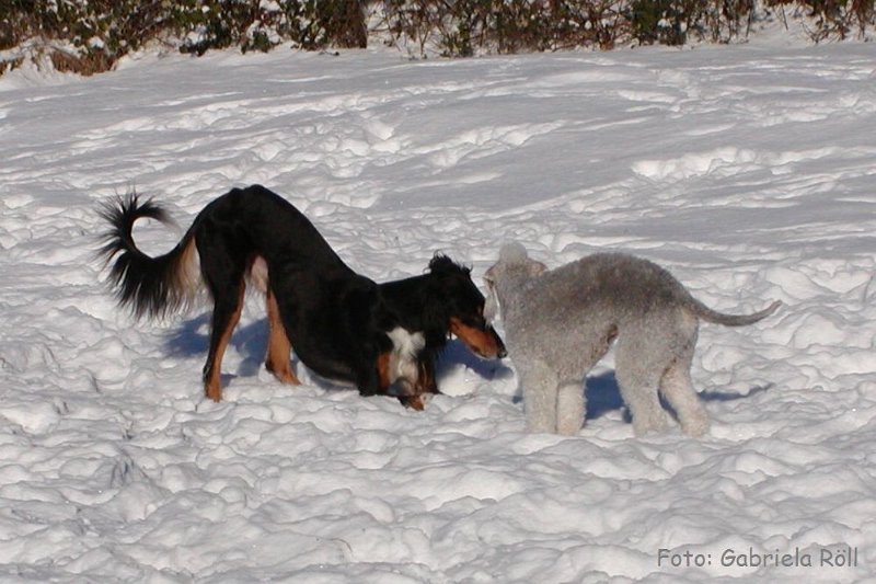 Quincy 2009-01-ß6 (7).JPG